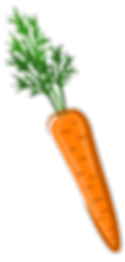 1 carrot.png
